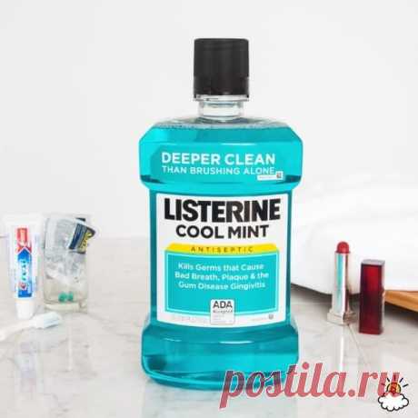 Редкий рецепт хачапури, в который я влюбилась. - МирТесен