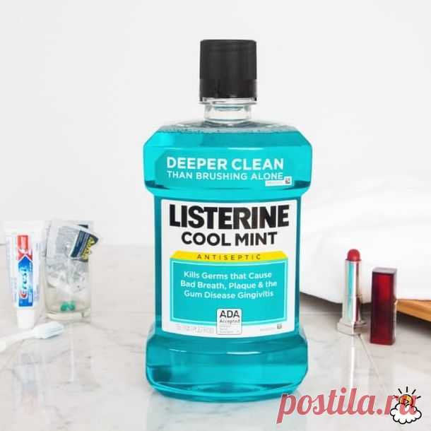 Редкий рецепт хачапури, в который я влюбилась. - МирТесен