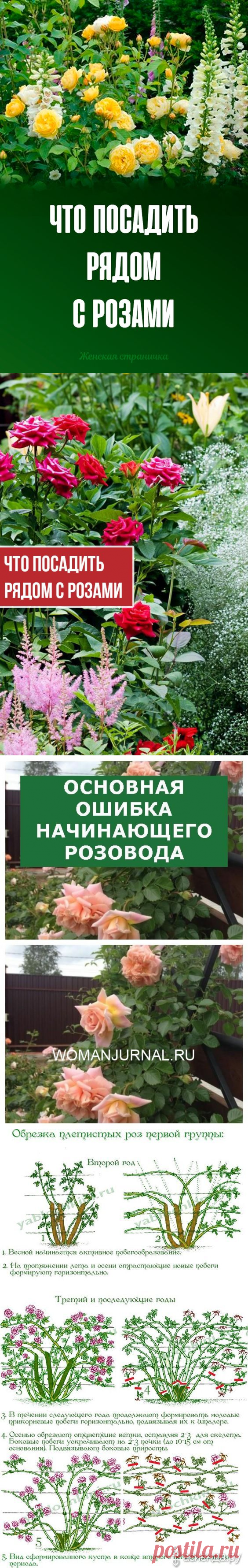 (1667) Pinterest