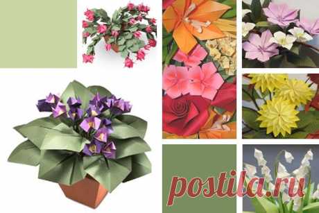 Origami Flower by John Blackman - Поиск в Google