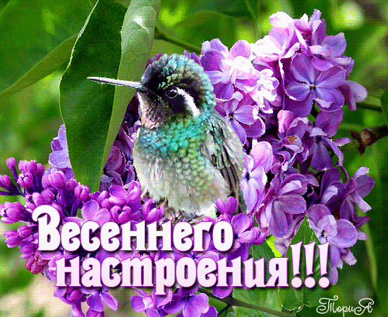 Весна-1