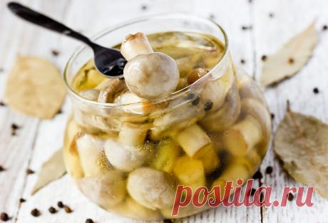 Домашние маринованные шампиньоны рецепт с фото пошагово