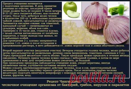 Рецепт Чингисхана. Чесночное очищение организма от бактерий, грибов, вирусов и паразитов