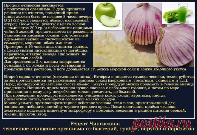 Рецепт Чингисхана. Чесночное очищение организма от бактерий, грибов, вирусов и паразитов