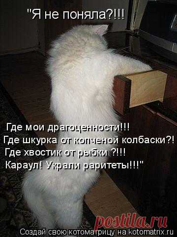 Котоматрица: Случайные котоматрицы