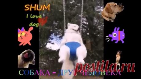 ✔ Мои первые GIF