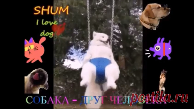 ✔ Мои первые GIF