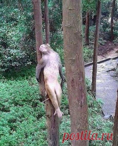 НЕНАВИЖУ себя влюблённую ...ну ДУРА - ДУРОЙ...)