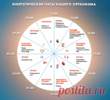 Если вы просыпаетесь по ночам в это время, то у вас могут быть проблемы Вы просыпаетесь по ночам в одно и то же время и уже устали гадать, что происходит с вашим организмом? Тогда пришло время это выяснить. В китайской медицине есть своеобразные биологические часы нашего организма, которые помогут определить, проблемы в каком органе не дают вам спать либо какие эмоции будят вас посреди ночи.
