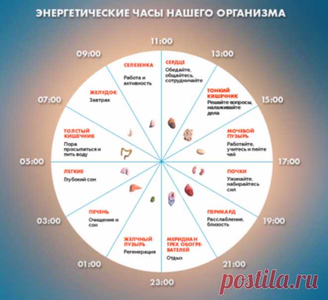 Если вы просыпаетесь по ночам в это время, то у вас могут быть проблемы Вы просыпаетесь по ночам в одно и то же время и уже устали гадать, что происходит с вашим организмом? Тогда пришло время это выяснить. В китайской медицине есть своеобразные биологические часы нашего организма, которые помогут определить, проблемы в каком органе не дают вам спать либо какие эмоции будят вас посреди ночи.
