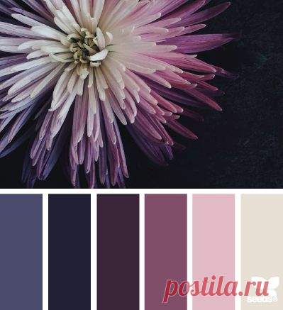 Pinterest: Discover and save creative ideas