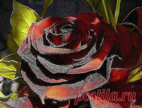 getImage (480×364)