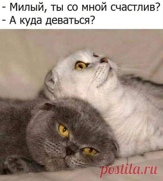 Подборка шуток о жизни женщинах