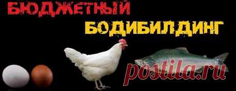 Бюджетный бодибилдинг | STEELppl