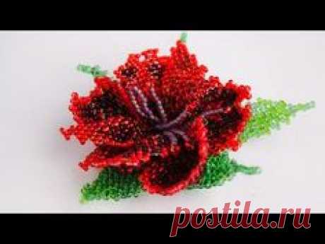 Cojocaru Olga - YouTube