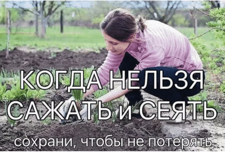 Народные приметы для садоводов-огородников! 
- Картофель нельзя сажать на Вербной неделе, по средам и субботам - будет портиться. 
- Если весна ранняя, то капусту, как и лук сеют на четвертой неделе Великого поста или позже - на пятой. 
- Если весна запаздывает, то производят посев в последние дни Страстной недели, особенно в субботу. 
- Подсолнухи лучше сажать в субботу, до восхода солнца или после его захода. Последнее предпочтительнее. При посадке молчат и не грызут семечек. 
- Как и пос