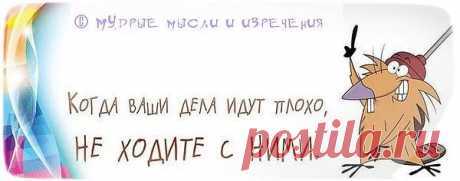 мудрые высказывания про тех кто ищет неприятности: 10 тыс изображений найдено в Яндекс.Картинках
