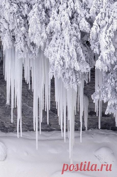 (1465) Pinterest • Всемирный каталог идей