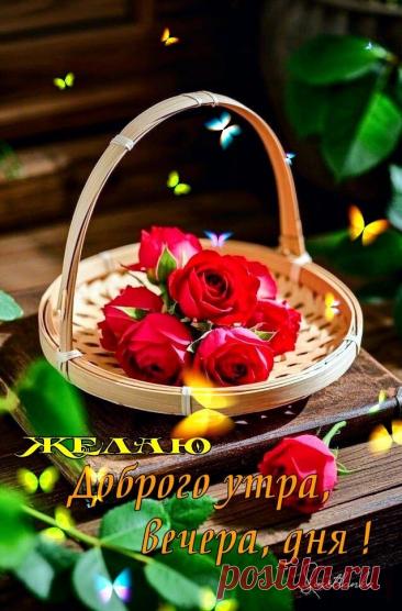 С добрым утром Привет Здрасте Добрый день