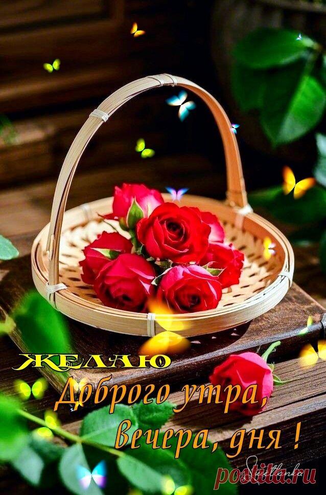 С добрым утром Привет Здрасте Добрый день