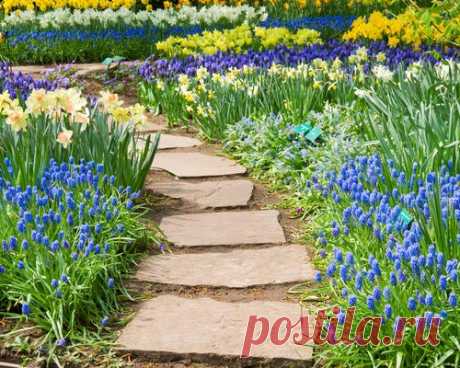 9 материалов для устройства садовой дорожки