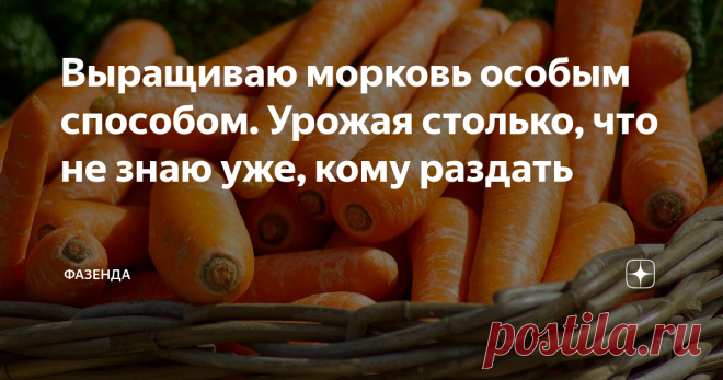 Выращиваю морковь особым способом. Урожая столько, что не знаю уже, кому раздать Предлагаю читателям свой способ выращивания моркови. Выращиваю только для себя на теплой грядке. Морковь можно сажать несколько раз за лето, начиная с весны, а осенью по замерзшей и подготовленной грядке я сею ее в зиму.
