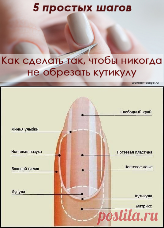 Избавляемся от кутикулы навсегда |