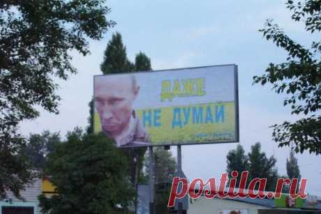(5) Твиттер