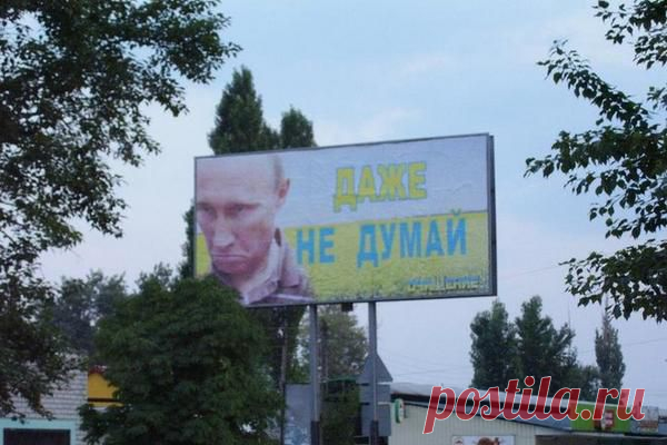 (5) Твиттер