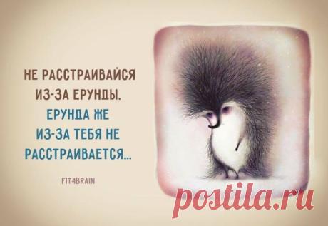 Мудрые слова 😂 👌