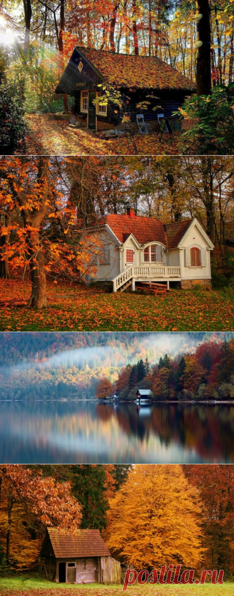 Хижина в осеннем лесу