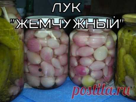 ЛУК "ЖЕМЧУЖНЫЙ"