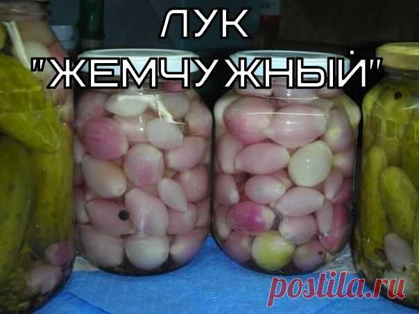 ЛУК "ЖЕМЧУЖНЫЙ"