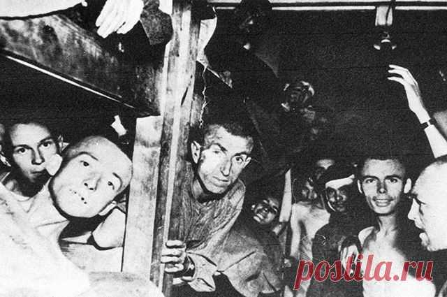 Мать нацистских солдат спасла советских офицеров (5 фото) | Чёрт побери «Она сказала: «Давай спрячем пленных русских. Быть может, тогда Бог оставит в живых наших сыновей».  «Пятнадцатилетние мальчики из гитлерюгенда хвастались друг перед другом - кто из них больше убил беззащитных людей. Один достал из кармана и показал приятелю связку отрезанных ушей - оба засмеялись. Один фермер нашёл у себя русского, прятавшегося в хлеву с овцами, и ударил его ножом - человек бился в ко...