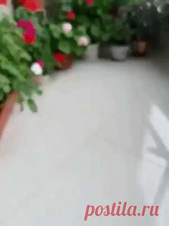 Кашпо на скорую руку. Кашпо на скорую руку. Быстро и просто!
