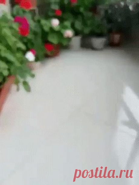Кашпо на скорую руку. Кашпо на скорую руку. Быстро и просто!