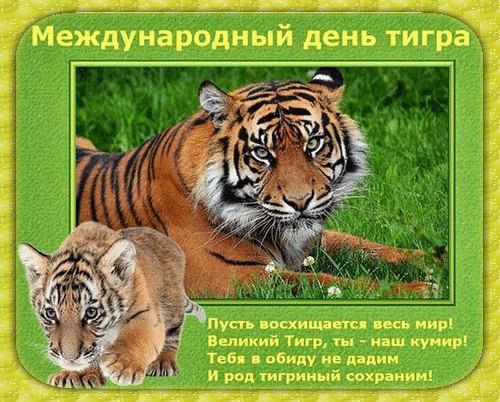 Анимированная открытка День тигра