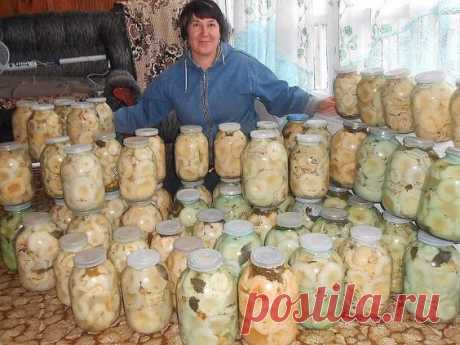 Солим грузди: 8 изумительных рецептов. Рецепт под фото.