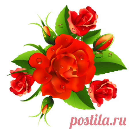 Шикарные розы - клипарт png
