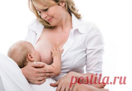 Как наладить лактацию после родов: что делать, советы врачей как разработать грудное молоко