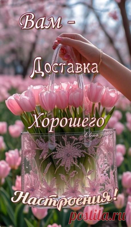 😃 150 Пожеланий Хорошего Настроения в красивых картинках открытках
