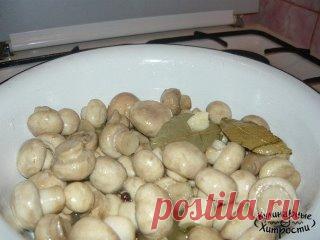 Маринуем грибы