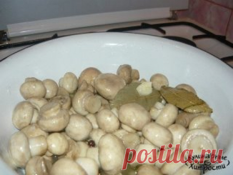 Маринуем грибы