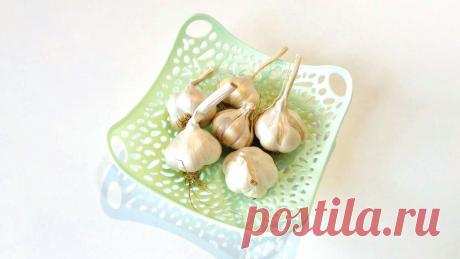 100 % сохранение свежего чеснока без заморозки. Зиму пролежит, да и к лету не испортится. А еще и места много не занимает | Грузинская Кухня от Софии | Яндекс Дзен