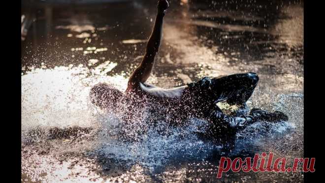 Как можно признаться в любви и выразить все свои чувства и эмоции, не произнеся ни слова? Есть множество разных способов, но самый чувственный и проникновенный из них — это танец. В программе «Признание в любви» собраны лучшие танцевальные номера за всю историю театра. Программа меняется из раза в раз, добавляются новые номера, меняется структура шоу. Стиль, манера исп...