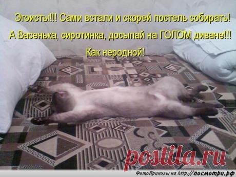 Новости