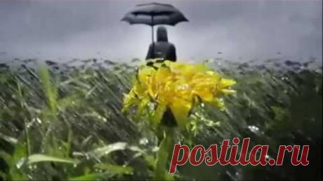 Сергей Дроздов Невозможно жить не любя (Женщина)