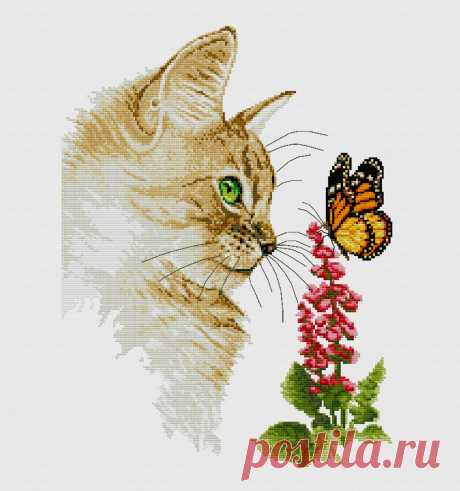 Новинка немецких дизайнеров &quot;Cat and butterfly&quot;
