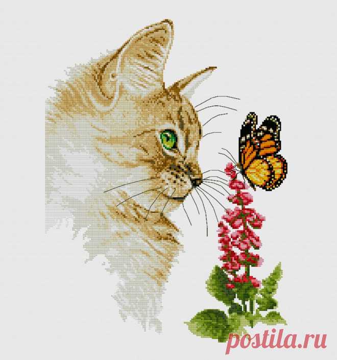 Новинка немецких дизайнеров "Cat and butterfly"