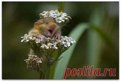 Улыбочку плиз......